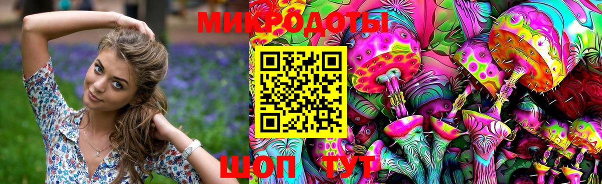 купить наркотики цена  Вход с VPN  Благовещенск  Псилоцибиновые грибы GOLDEN TEACHER 
